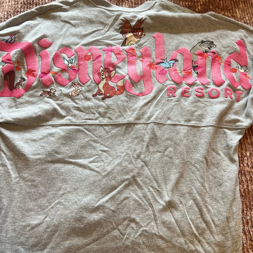 Disneyland Spirit Jersey Animal Friends